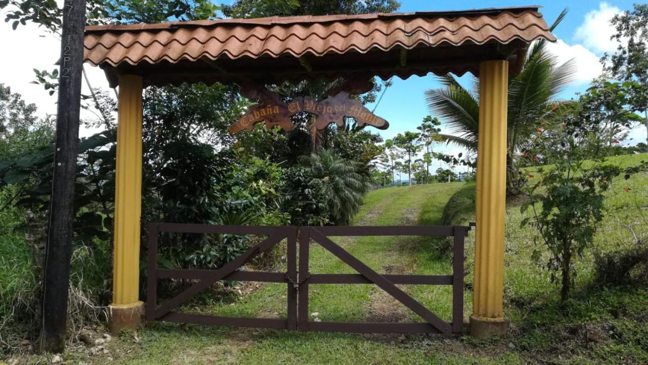 Cabana El Viejo Del Monte Venecia Εξωτερικό φωτογραφία