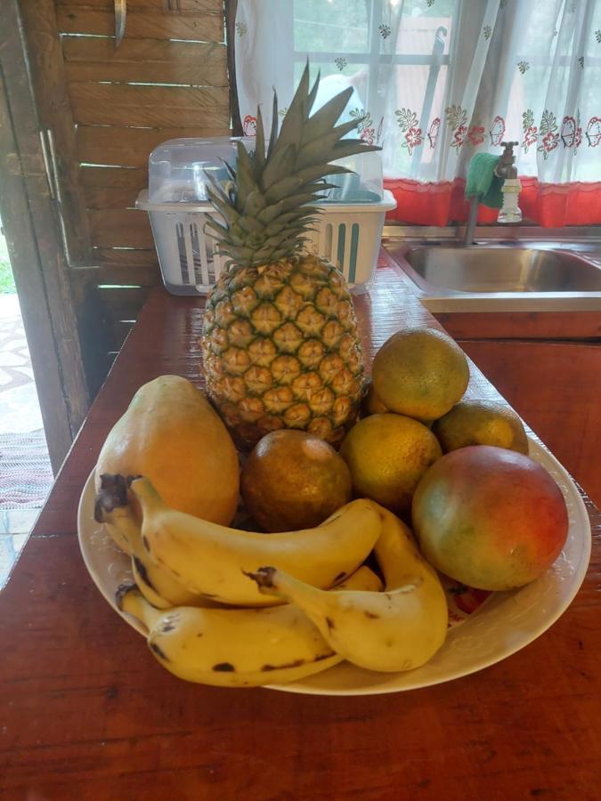 Cabana El Viejo Del Monte Venecia Εξωτερικό φωτογραφία